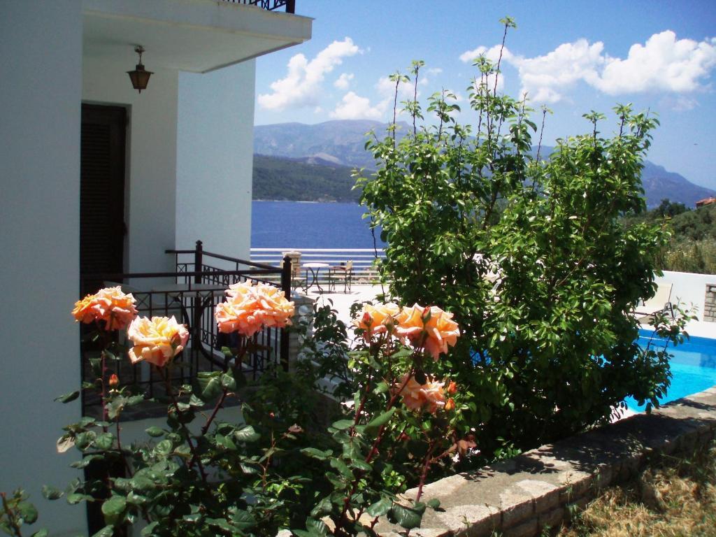 Scorpios Hotel & Suites Samos Town Quarto foto