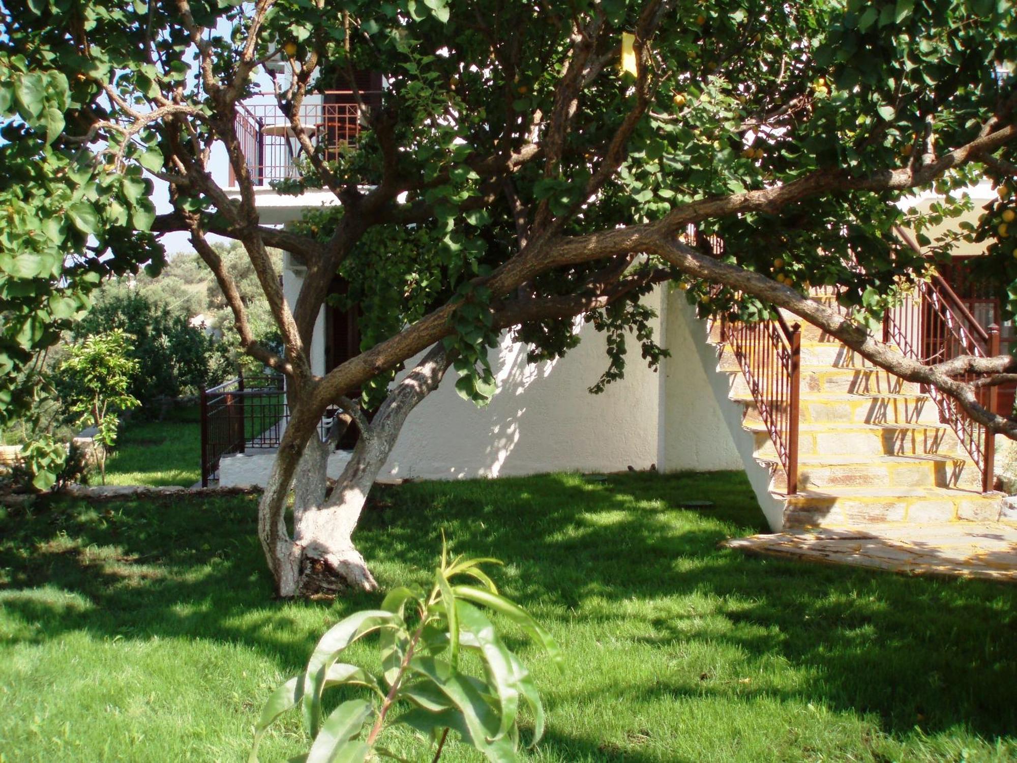 Scorpios Hotel & Suites Samos Town Exterior foto